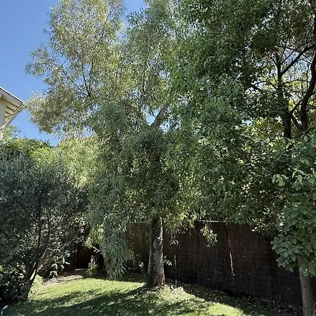 Villa House, Garden, Air Conditioning, Parking - Center *